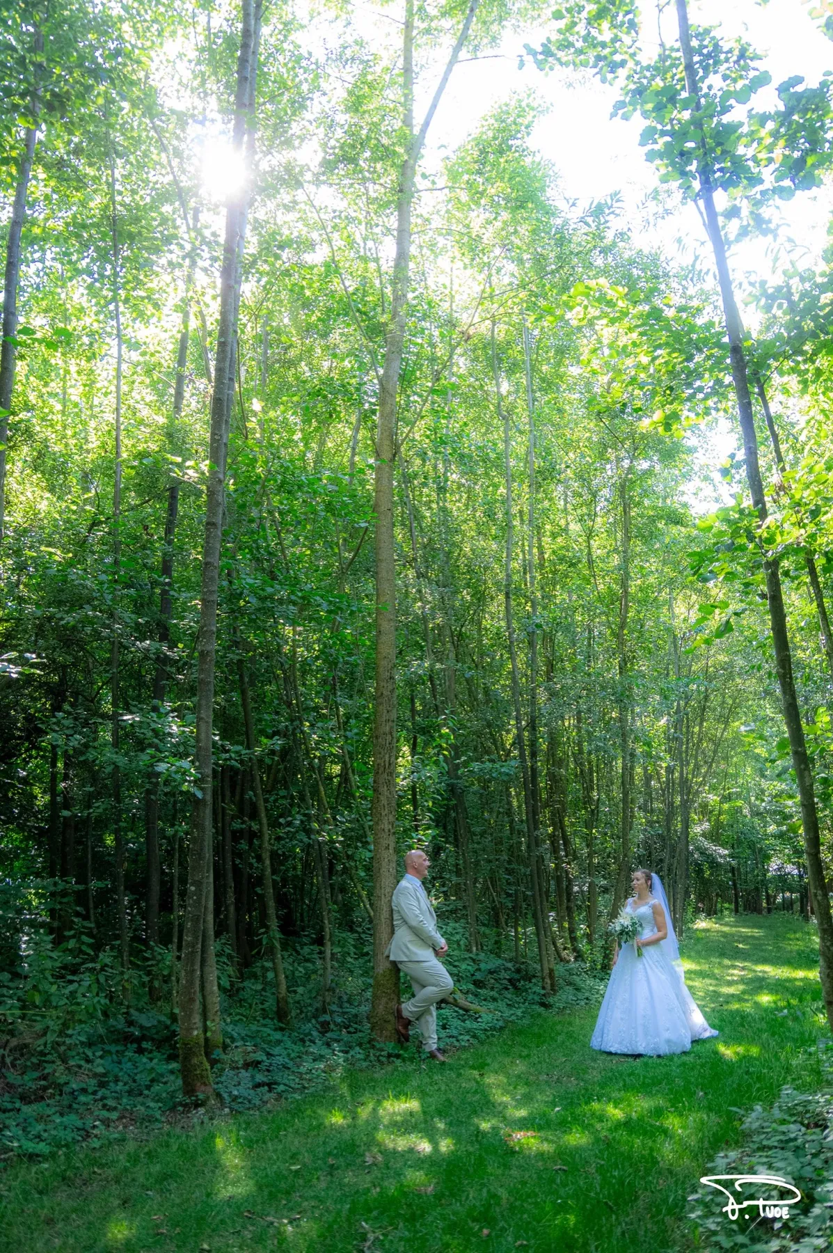 Les mariés, tout petits, au milieu d’une forêt de grands arbres