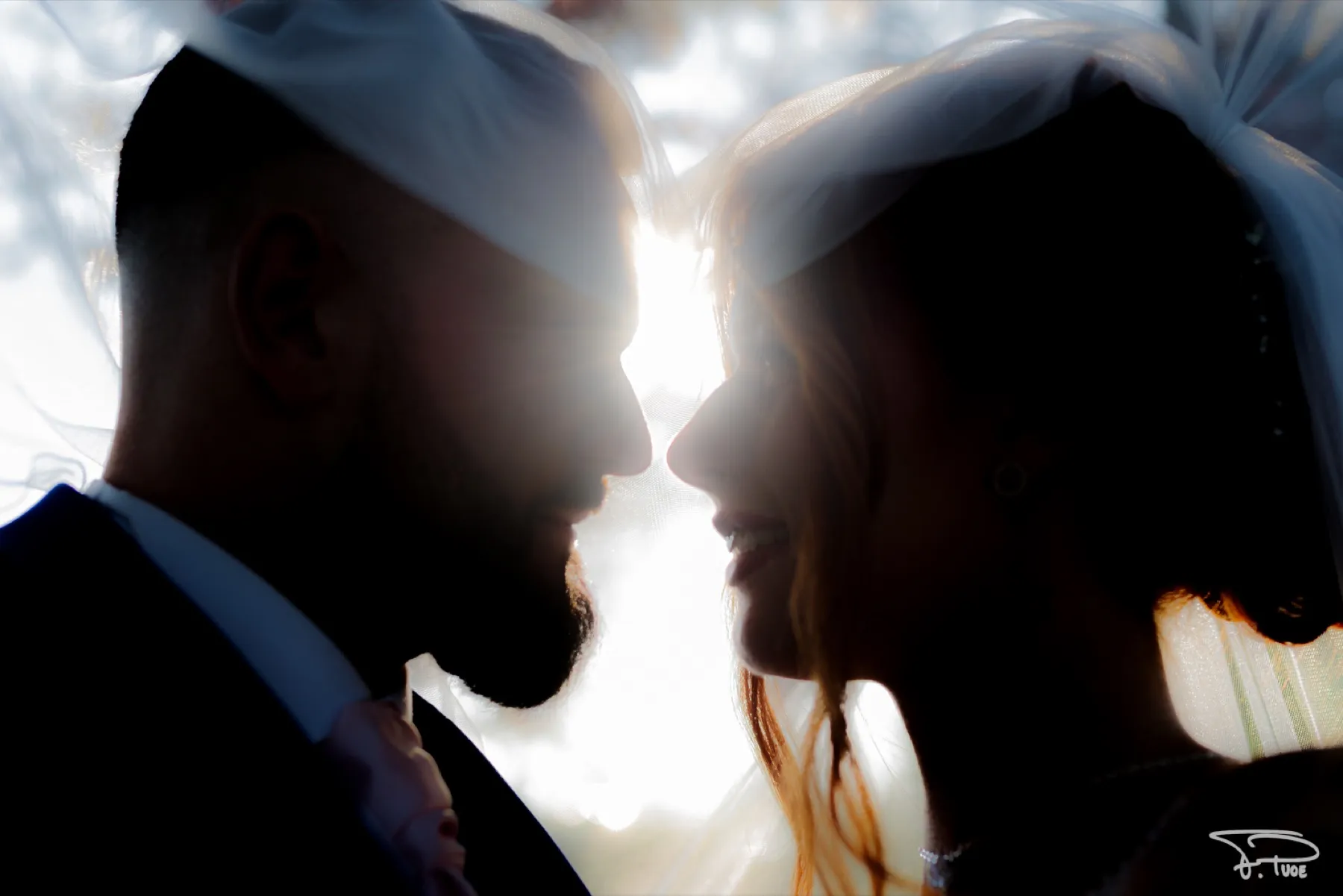 Séance photo de couple des mariés (photo 32)