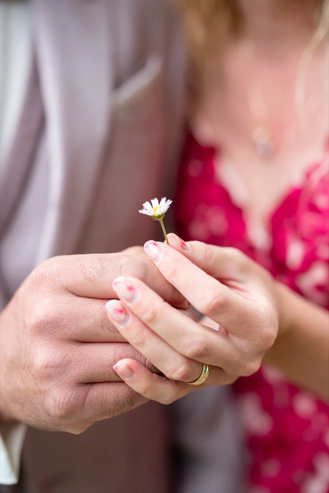 Gros plan de deux mains tenant une pâquerette, l'alliance visible, devant une robe rose et fuchsia