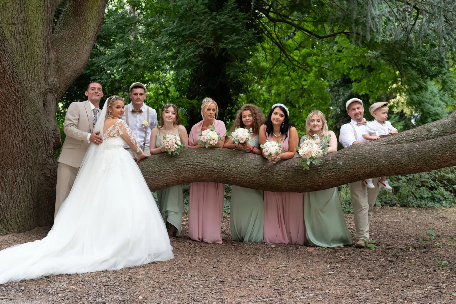 Mariés et demoiselles d'honneur en robes pastel posent le long d'une grosse branche d'arbre