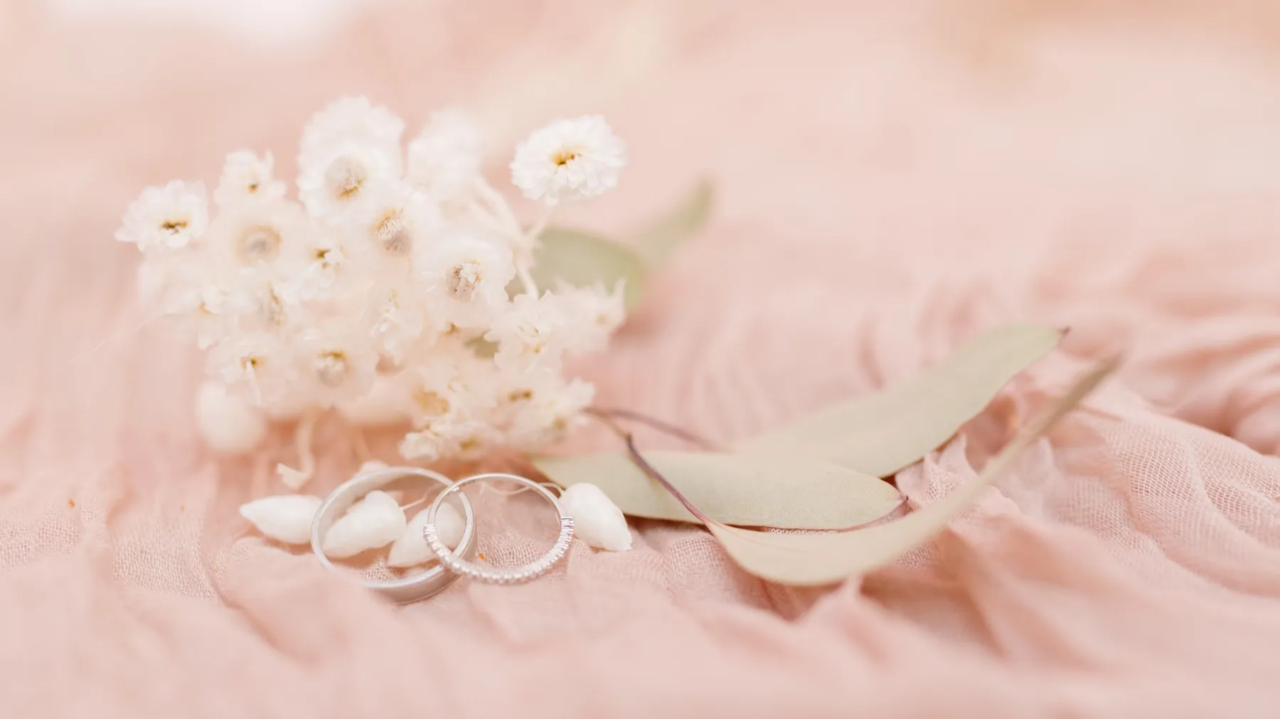Deux alliances posées sur un tulle rose, près de petites fleurs séchées blanches