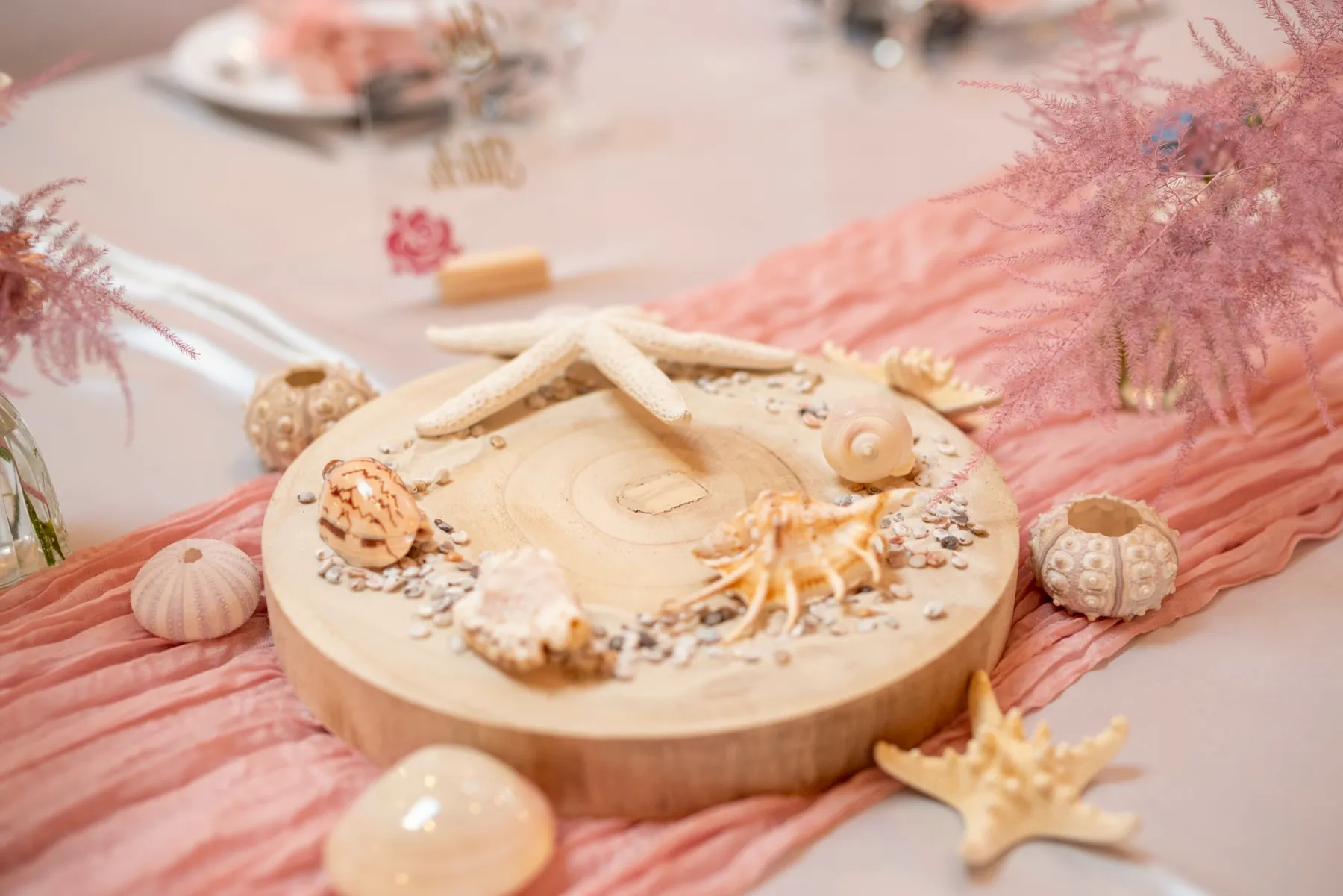 Un rondin de bois garni de coquillages et d’étoiles de mer sur un voilage rose